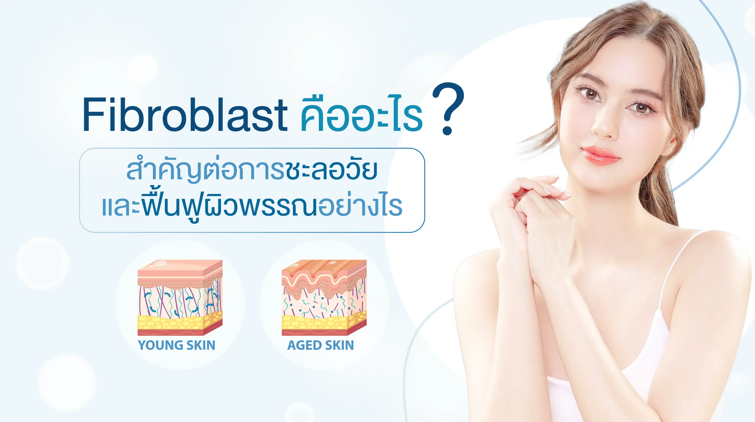 Fibroblast คืออะไร ? สำคัญต่อการชะลอวัย และฟื้นฟูผิวพรรณอย่างไร?