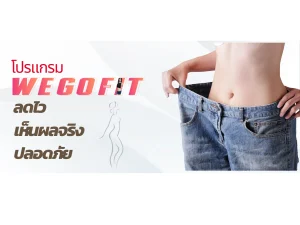 โปรแกรมลดน้ำหนัก Wegofit
