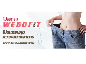 โปรแกรมลดน้ำหนัก Wegofit