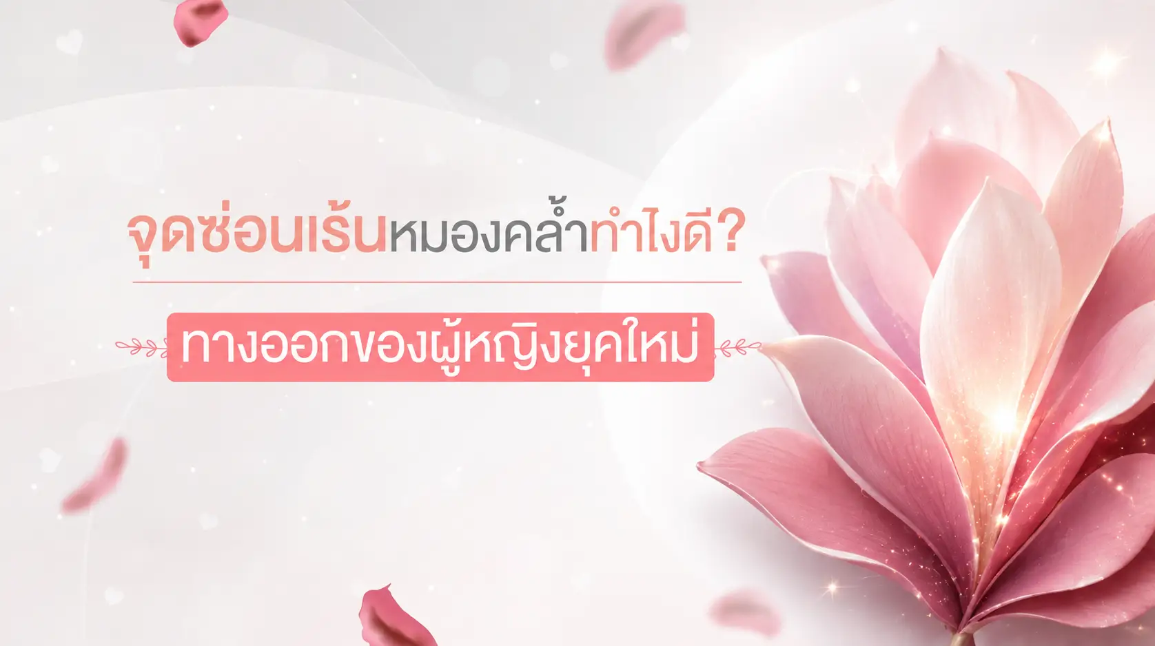 จุดซ่อนเร้นหมองคล้ำ
